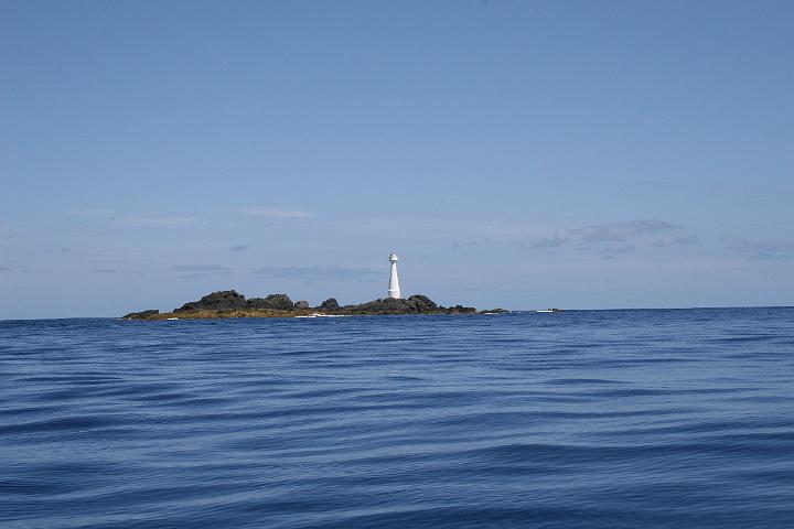 Formigas 063.jpg